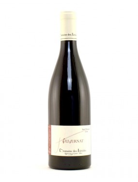 St Pourçain Auvernat 2023 Domaine des Berioles 