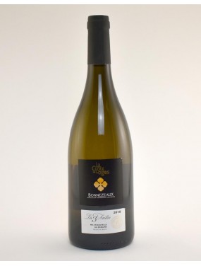 Bonnezeau Les 3 Failles 2017 La Croix des Loges 