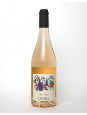 Bourgueil La Romantique 2024 Lame Delisle Boucard 